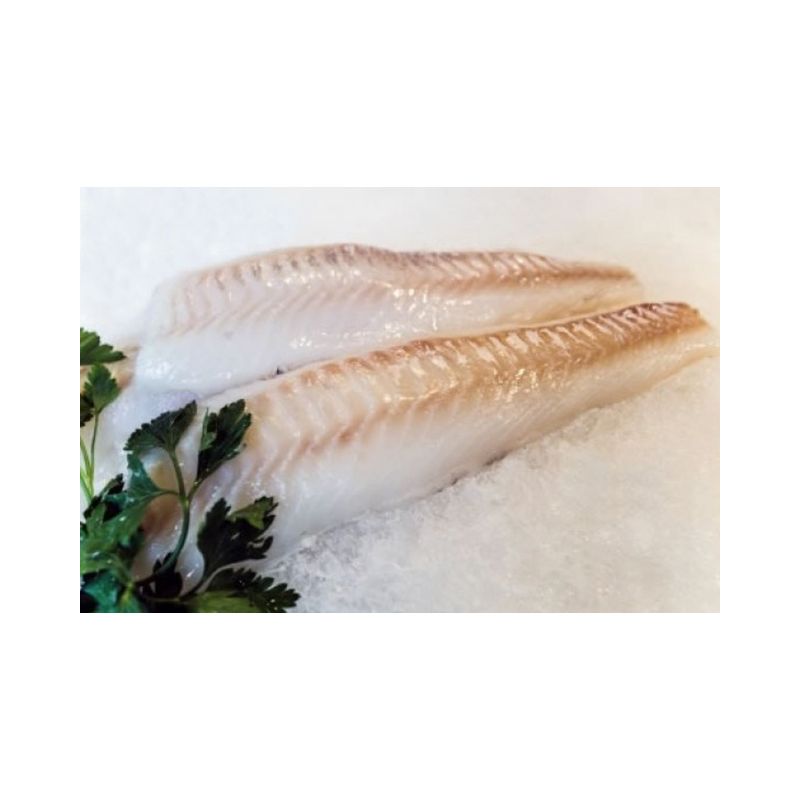 Whiting Fillets (Boneless + Skinless)