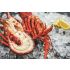 Fresh Cooked Lobster - Medium