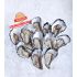 Sydney Rock Oysters - Extra Large Premium