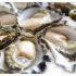 Sydney Rock Oysters - Extra Large Premium