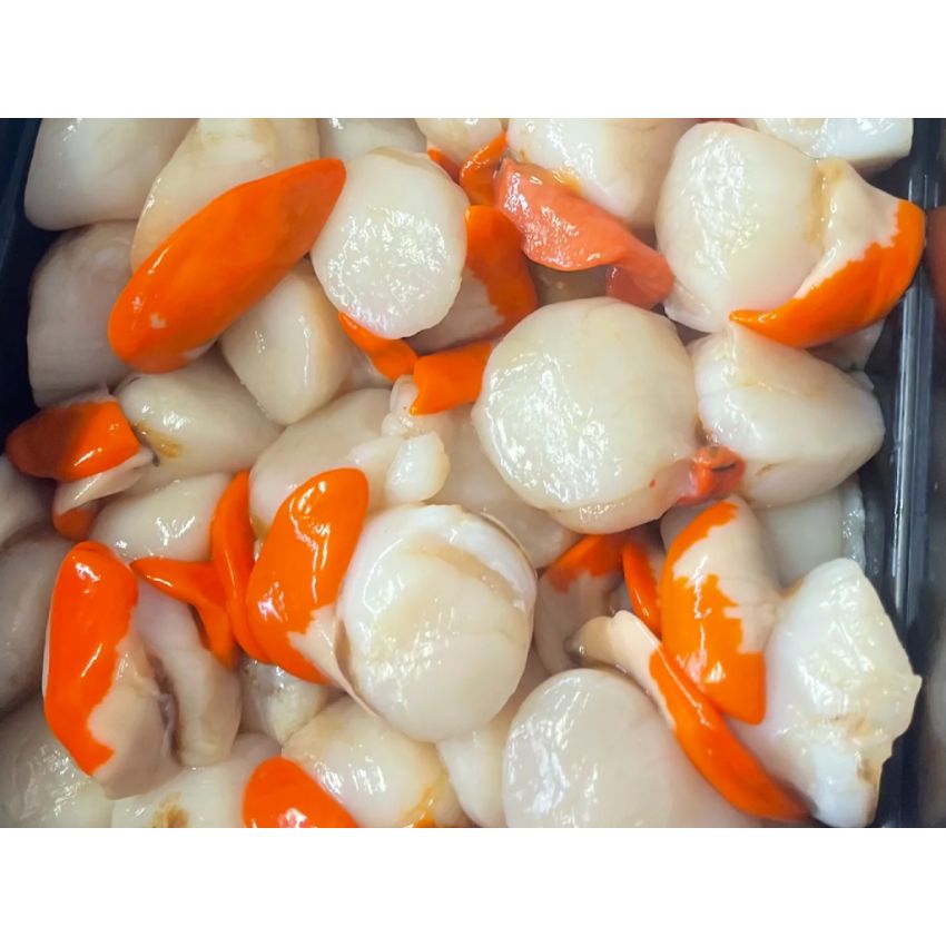 Fresh Scallop Meat