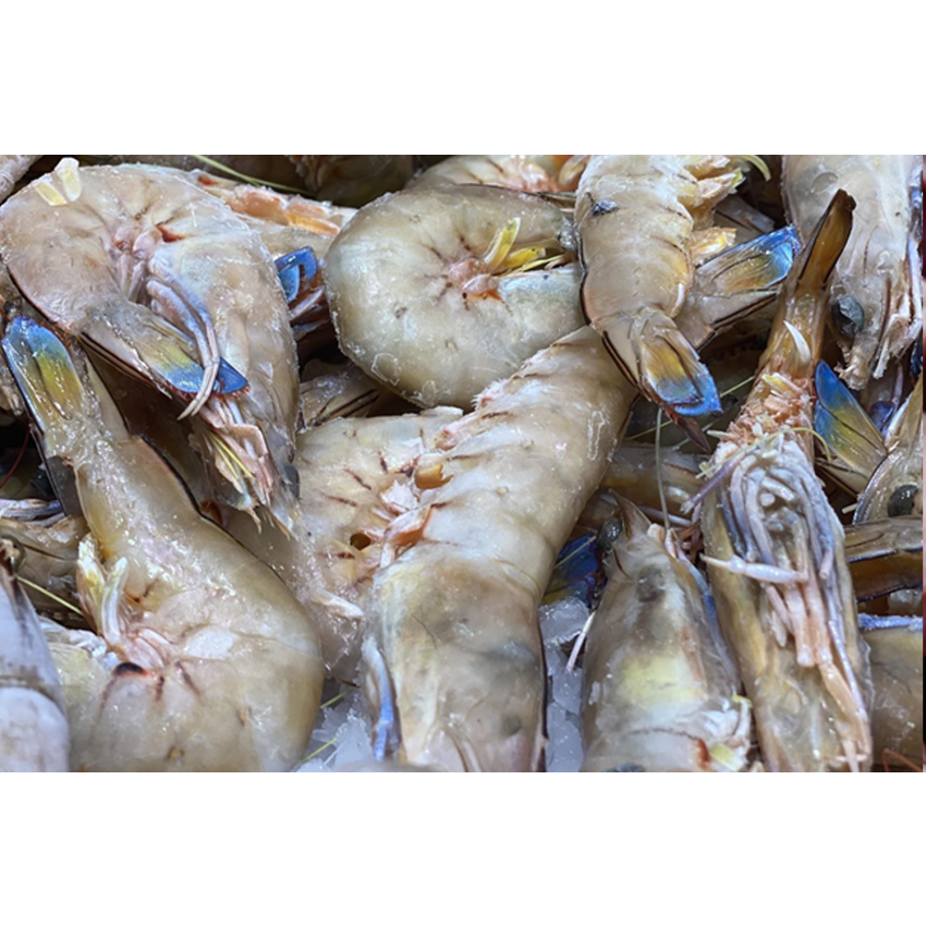 Whole Green Prawns (Large)