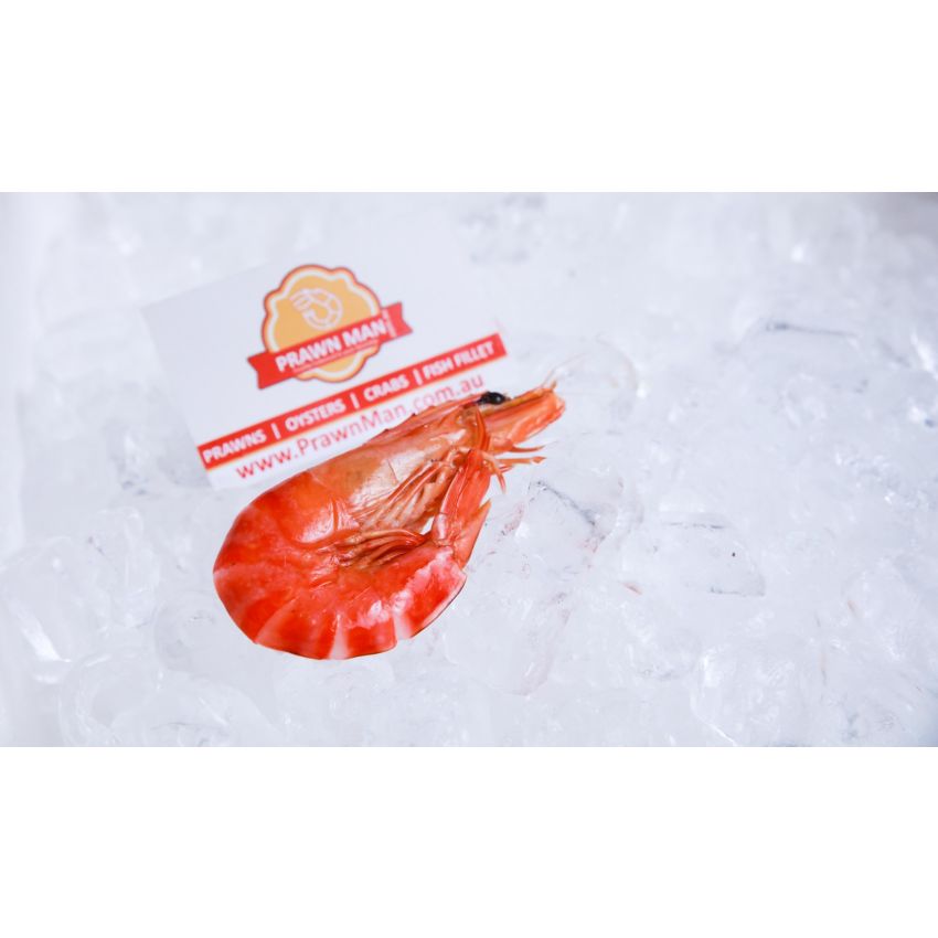 Cooked Prawns (Large)