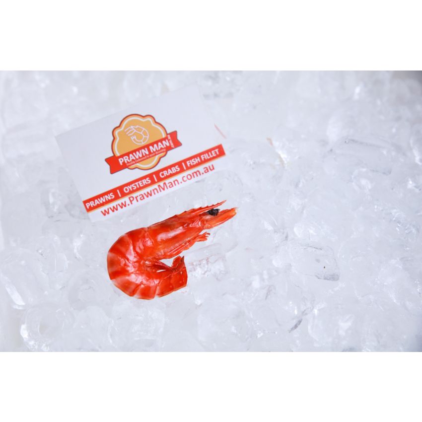 Cooked Prawns (Medium)