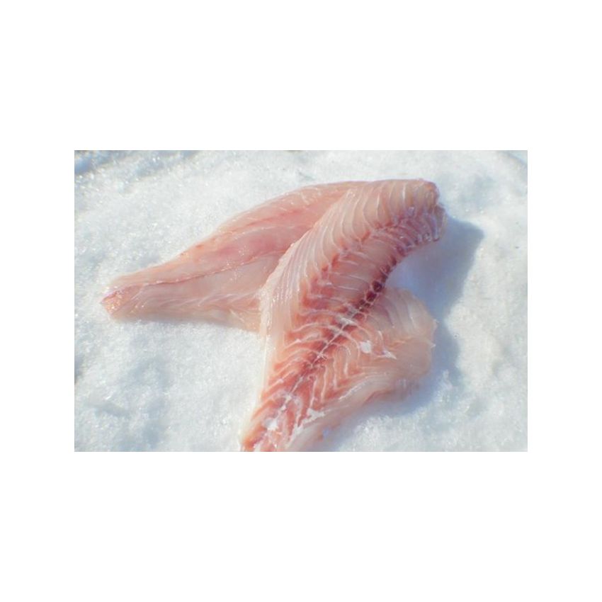 Snapper Fillets (Boneless + Skinless)